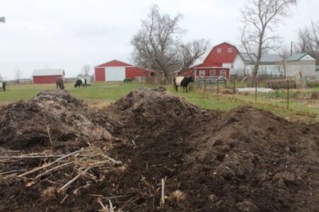 Working with Nature to Build Organic Soil, Part 3: Compost Image